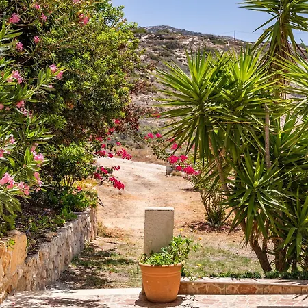 מלון קפסולה Sun Week Bay לפקוס קרפתאו